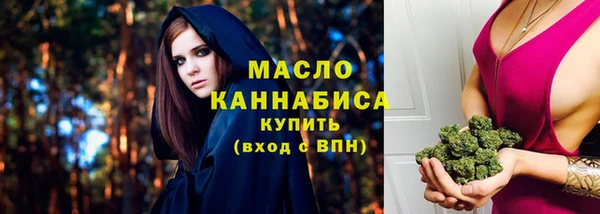 apvp Горняк