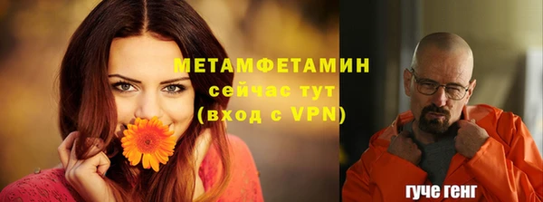 apvp Горняк
