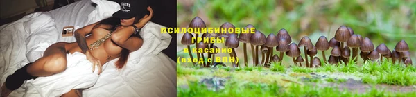 ALPHA-PVP Горнозаводск