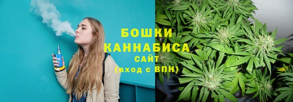 apvp Горняк