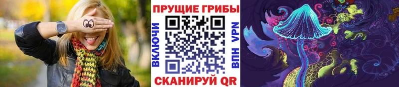 дарнет шоп  Новосибирск  Галлюциногенные грибы мухоморы 